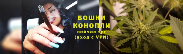 мдпв Няндома