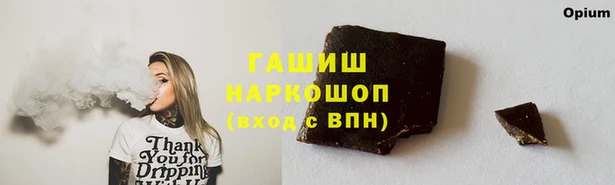 мдпв Няндома