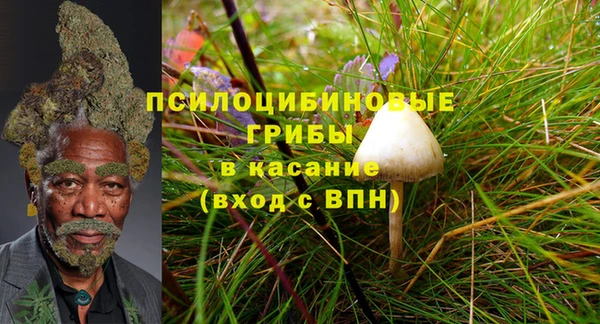 ГАЛЛЮЦИНОГЕННЫЕ ГРИБЫ Нягань