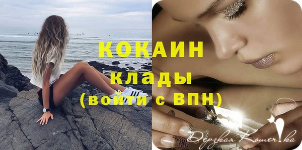 мдпв Няндома