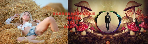 мдпв Няндома