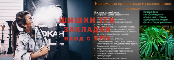 ГАЛЛЮЦИНОГЕННЫЕ ГРИБЫ Нягань