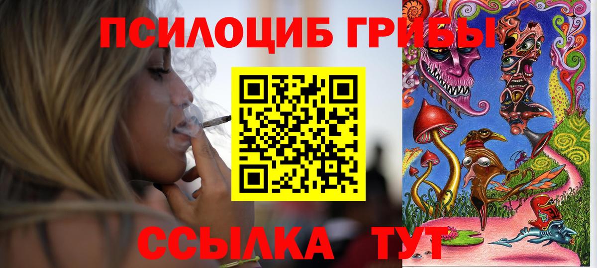 Псилоцибиновые грибы Psilocybine cubensis  Псилоцибиновые грибы ЛСД  Нурлат  Вход с VPN 